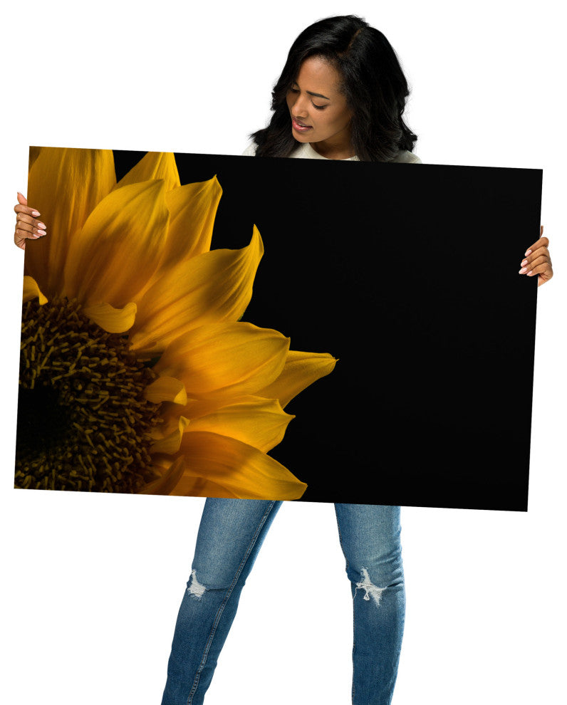 Sunflower in Corner Nature Photography, Floral Unframed Wall Art Print, 24" X 36"