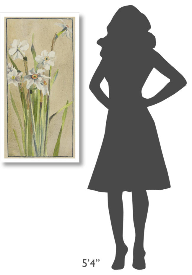 "White Narcissus with Gray Accents" Print by Hannah Borger Overbeck, 20"x38"