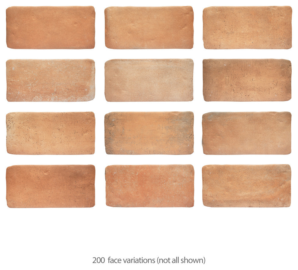 Benisa Cotto Porcelain Floor and Wall Tile Sample