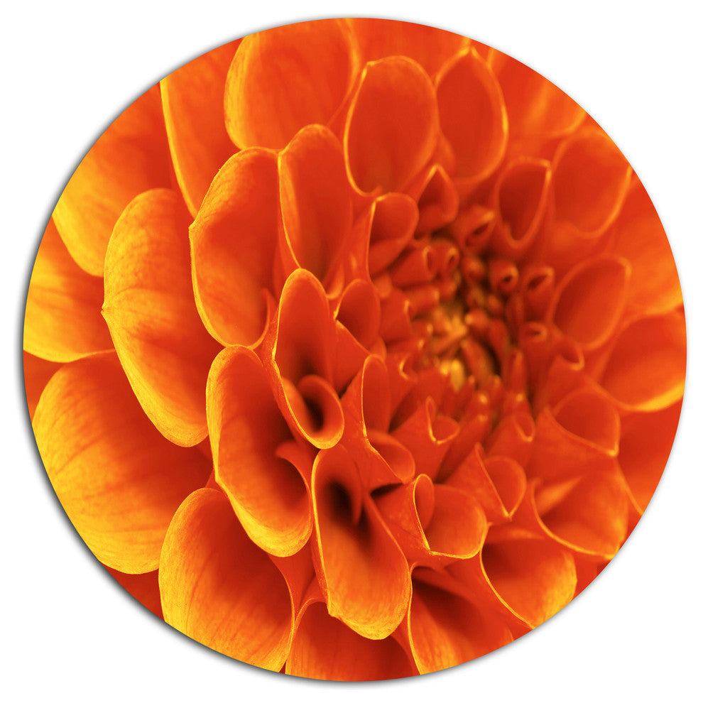Orange Flower And Petals, Modern Floral Disc Metal Artwork, 11"