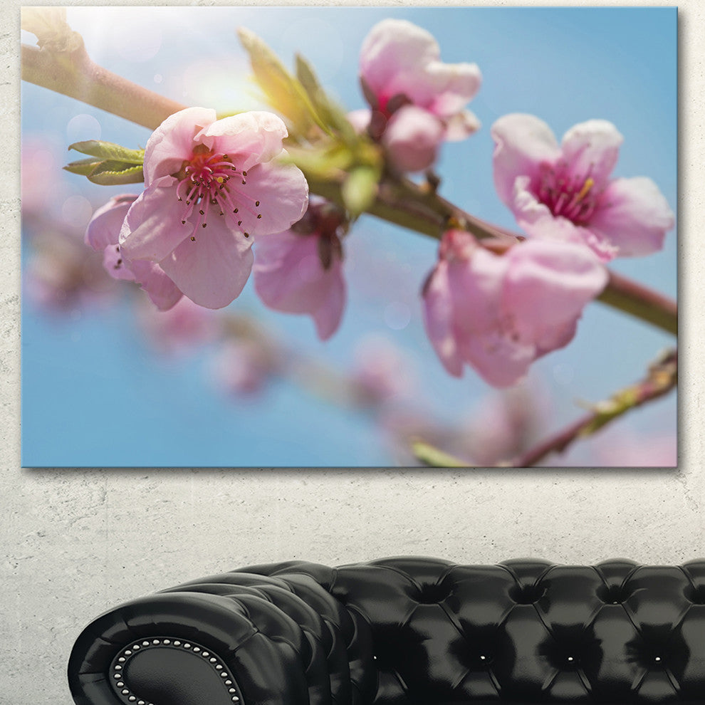 Stem of Peach Blossom Flowers, Floral Canvas Art Print, 40"x30"