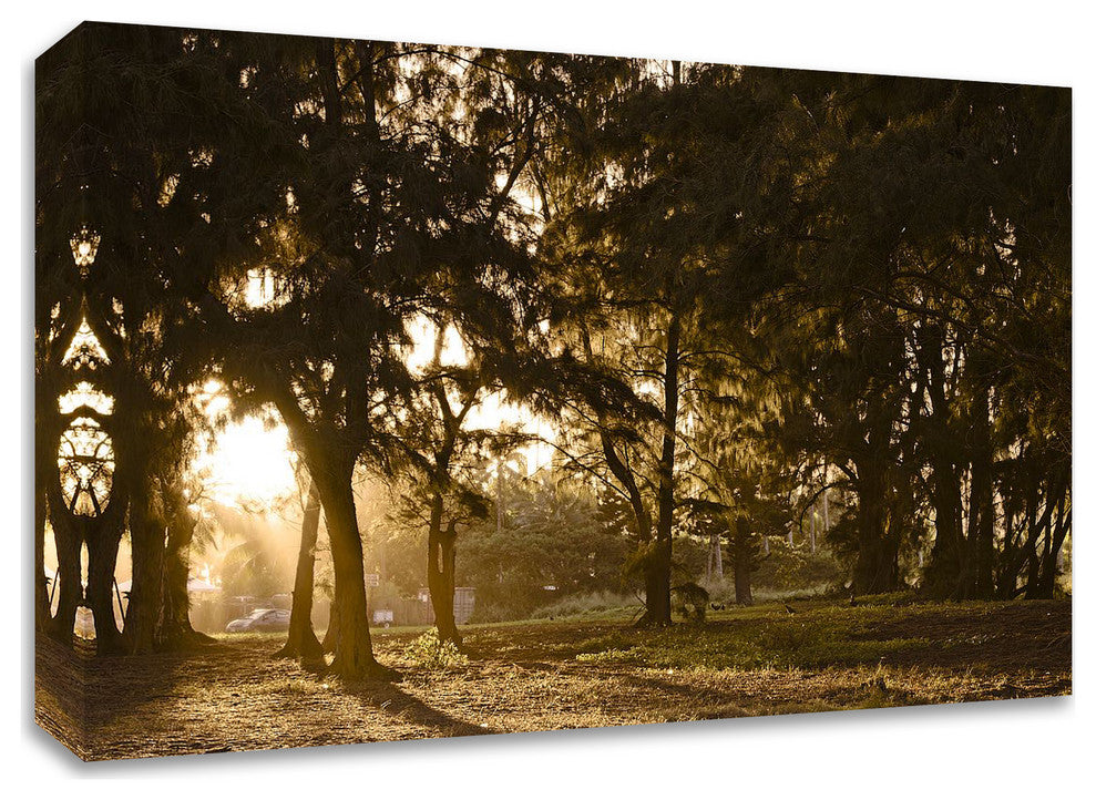Daybreak by Chuck Burdick, Print on Canvas, 36"x24"