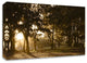 Daybreak by Chuck Burdick, Print on Canvas, 36"x24"
