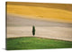 "Tuscany Land" Wrapped Canvas Art Print, 48"x32"x1.5"