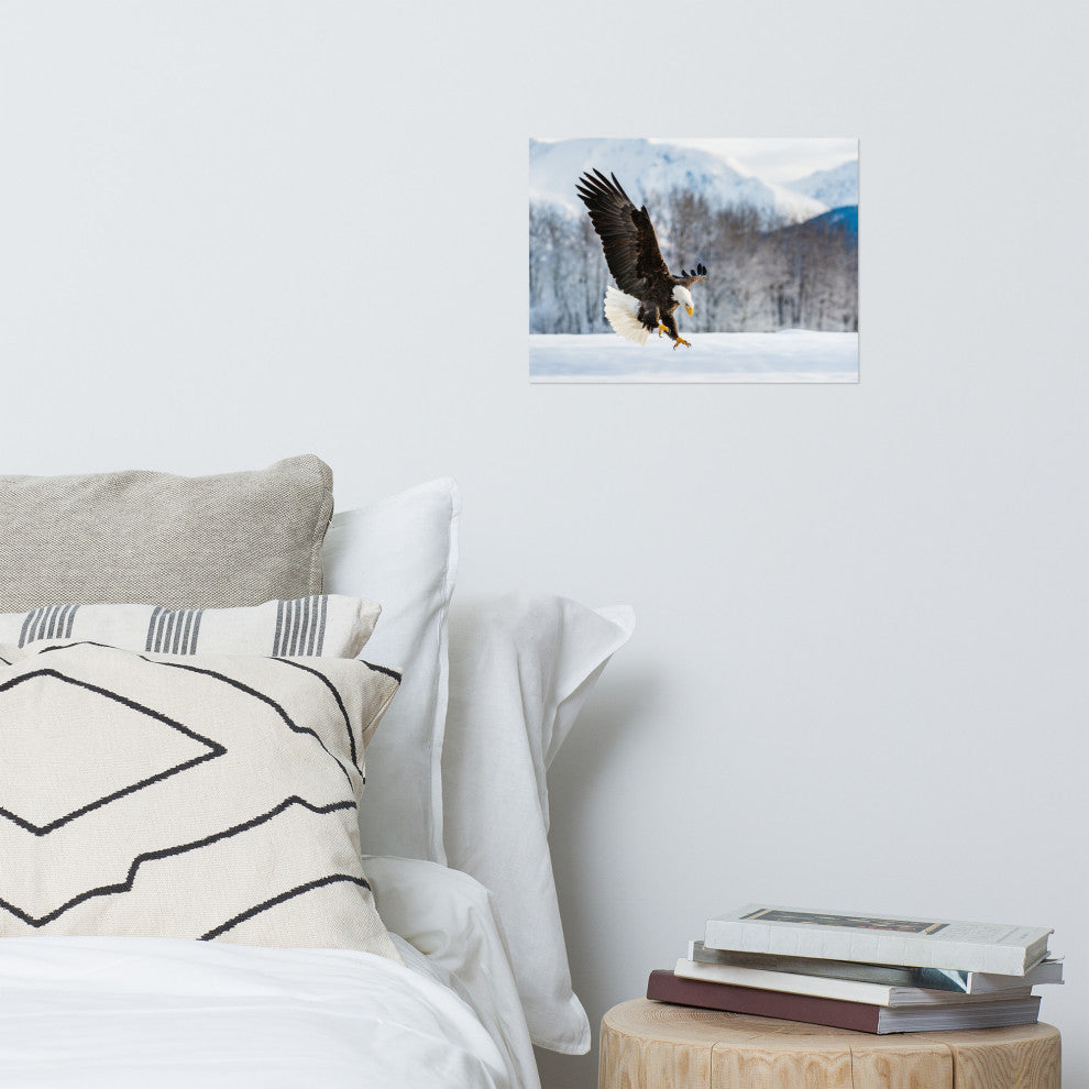 Adult Bald Eagle Alaskan Winter Animal Wildlife Photograph Loose Wall Art Print, 12" X 16"