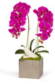 Artificial double phalaneopsis  Orchid in Square Container With Geode, Green