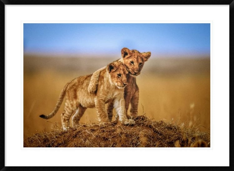 "Brothers For Life" Framed Digital Print by Jeffrey C. Sink, 38"x28"