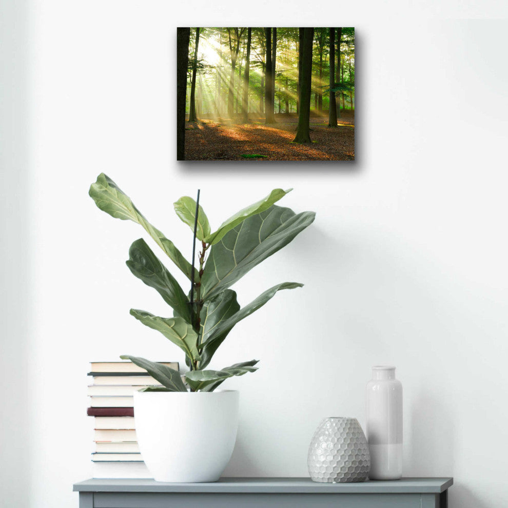 Epic Art 'Rays of Light,' Acrylic Glass Wall Art, 16"x12"