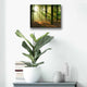 Epic Art 'Rays of Light,' Acrylic Glass Wall Art, 16"x12"