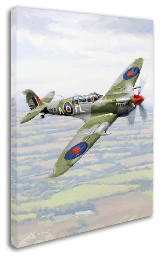 The Macneil Studio 'Spitfire' Canvas Art, 19"x14"