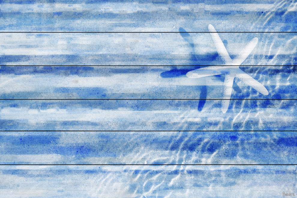 "Starfish" UV Ink Print on White Wood60"x40", 60"x40"