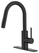 Oletto Pull-Down 1-Hole Kitchen Faucet, Matte Black