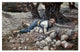 "Hidden Treasure" Digital Paper Print by James Tissot, 32"x21"