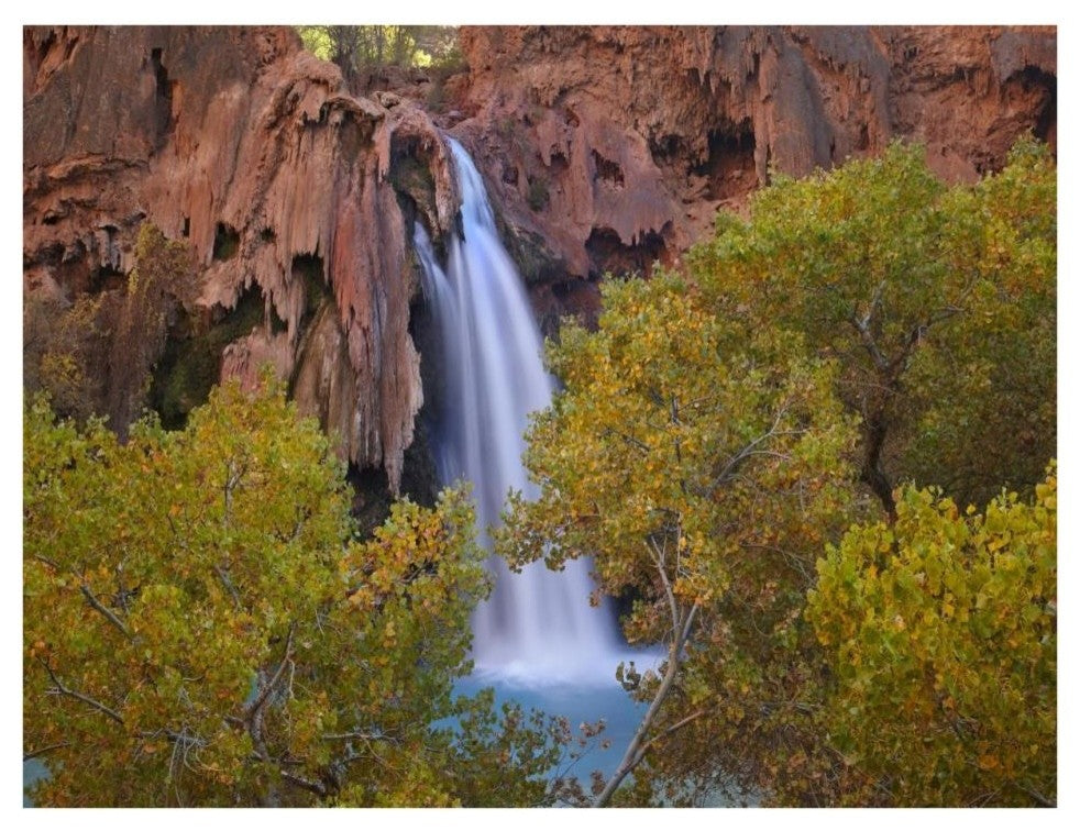 "Havasu Falls, Grand Canyon, Arizona" Paper Print by Tim Fitzharris, 34"x26"
