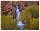 "Havasu Falls, Grand Canyon, Arizona" Paper Print by Tim Fitzharris, 34"x26"