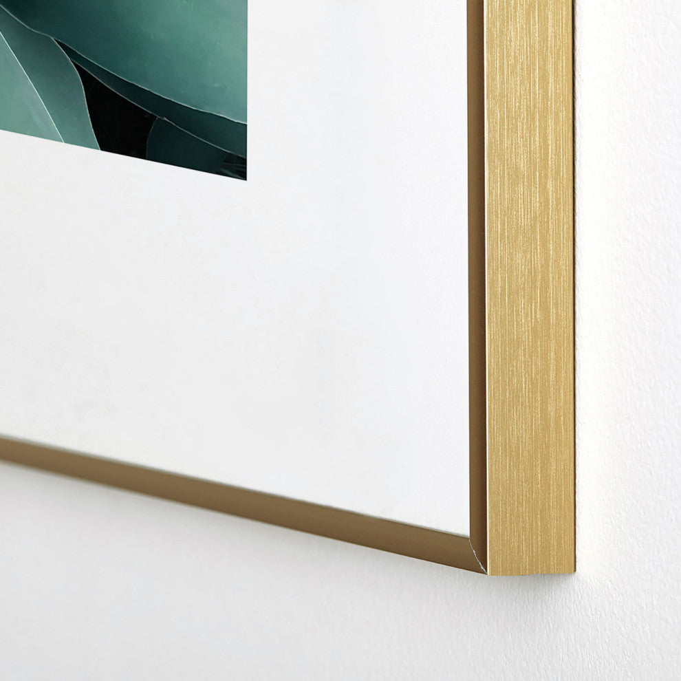 Gale Switzer Agave geometrics Metal Framed Art Print