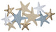 Coastal Starfish Design Wall D"cor