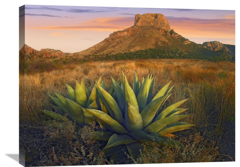 "Casa Grande Butte, Big Bend National Park, Texas" Artwork