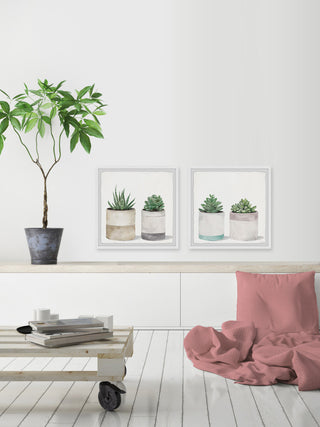 Fleshy Succulent Leaves Diptych, 2-Piece Set, 18x18 Panels