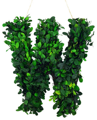 Modern Home 12" Real Preserved Boxwood Monogram Wreath Letters - Hashtag