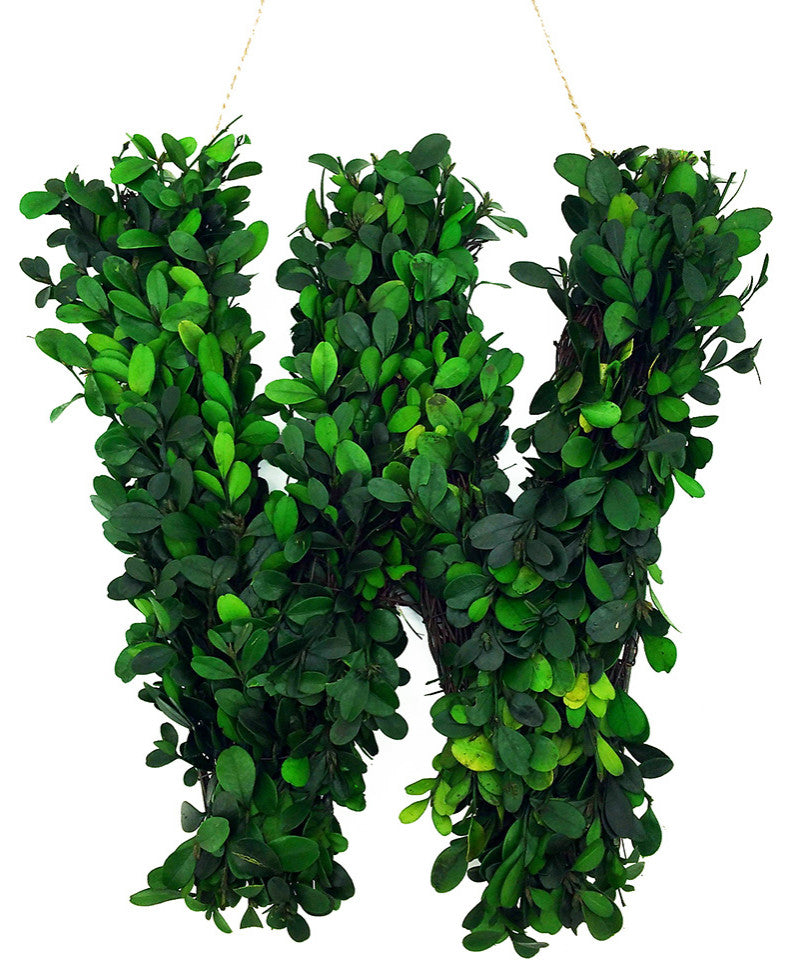 Modern Home 12" Real Preserved Boxwood Monogram Wreath Letters - Hashtag