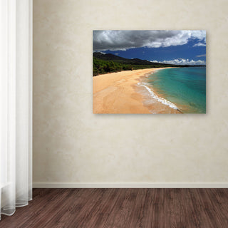 'Makena Maui' Canvas Art by Pierre Leclerc