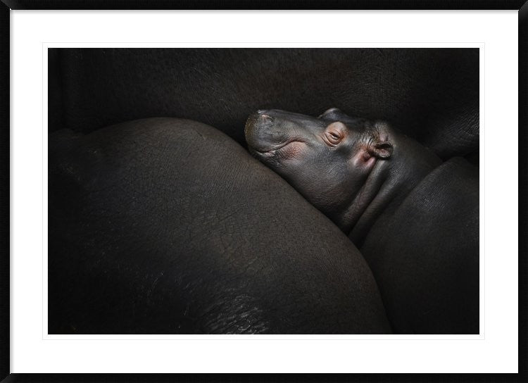 "Dreamin" Framed Digital Print by Zdenek Vales, 44x32"