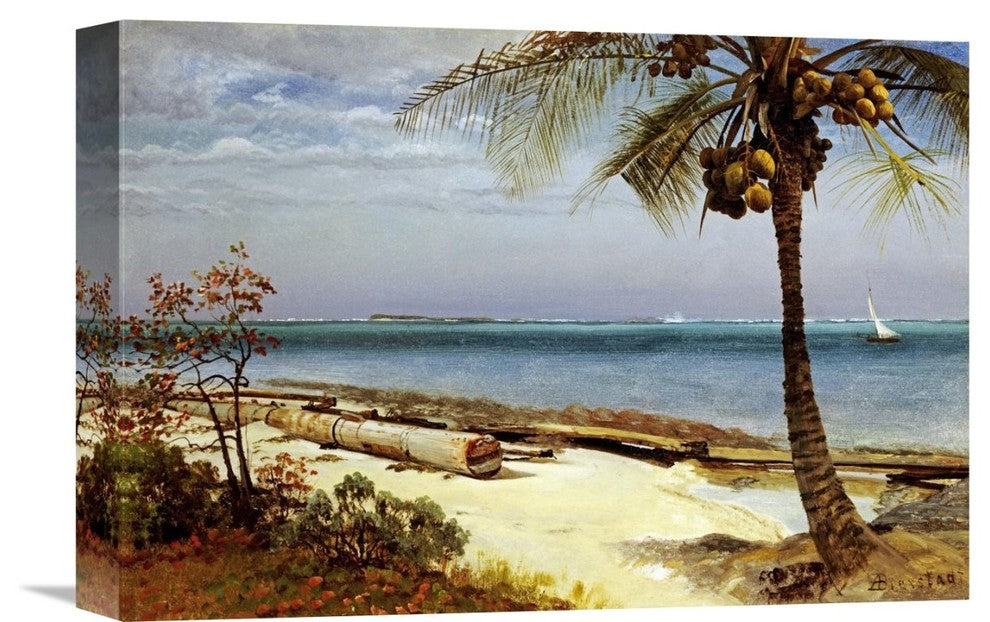 "Tropical Coast" Stretched Canvas Giclee by Albert Bierstadt, 16"x11"