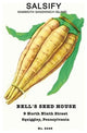 Salsify: Mammoth Sandwich Island- Framed Paper Poster 20" x 30"