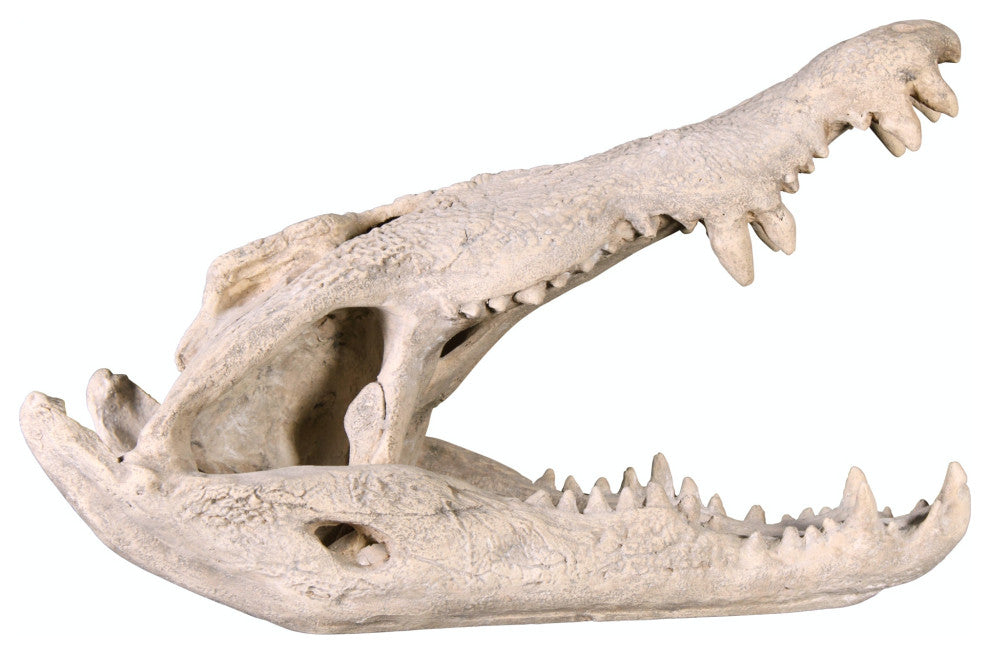 Crocodile Skull Sculptural Artifact