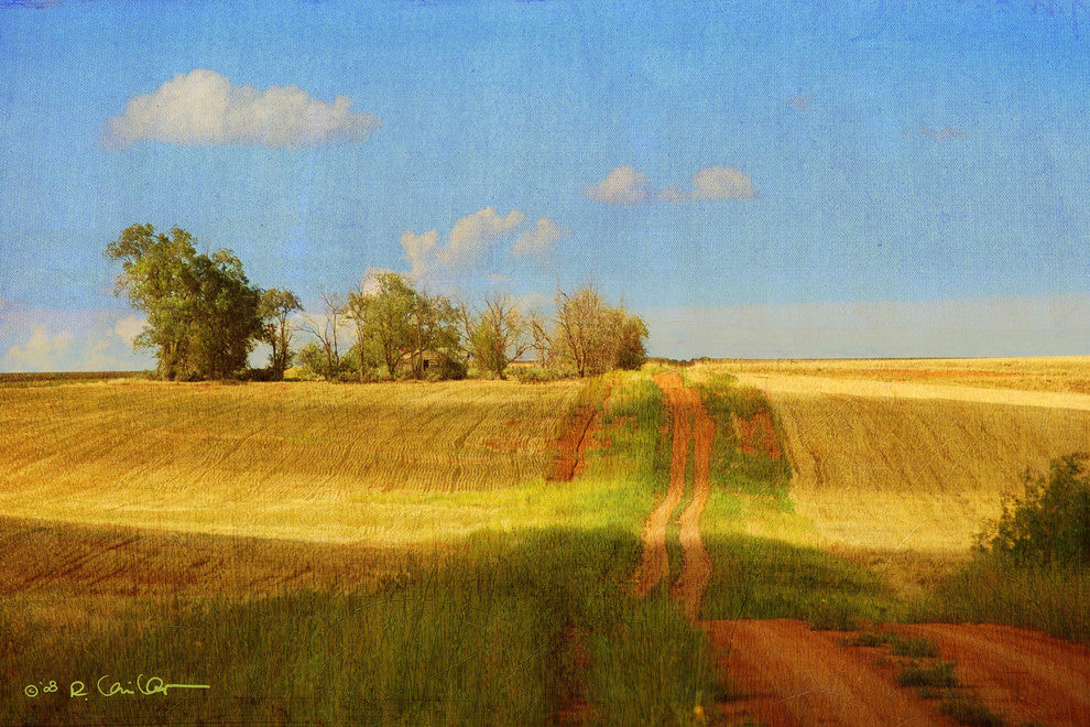 "Road Old House" Painting Print on Canvas by Chris Vest