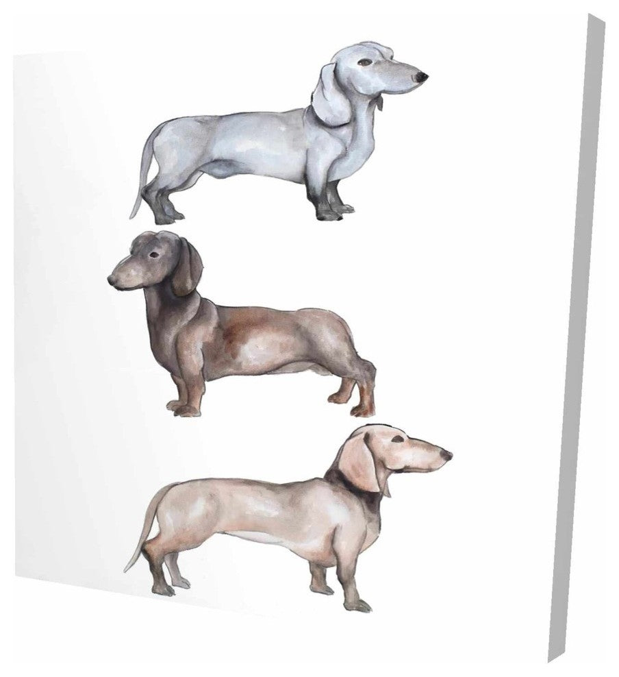 Dachshund Dogs Trio, Fine Art Gallery Wrapped Canvas, 24"x24"