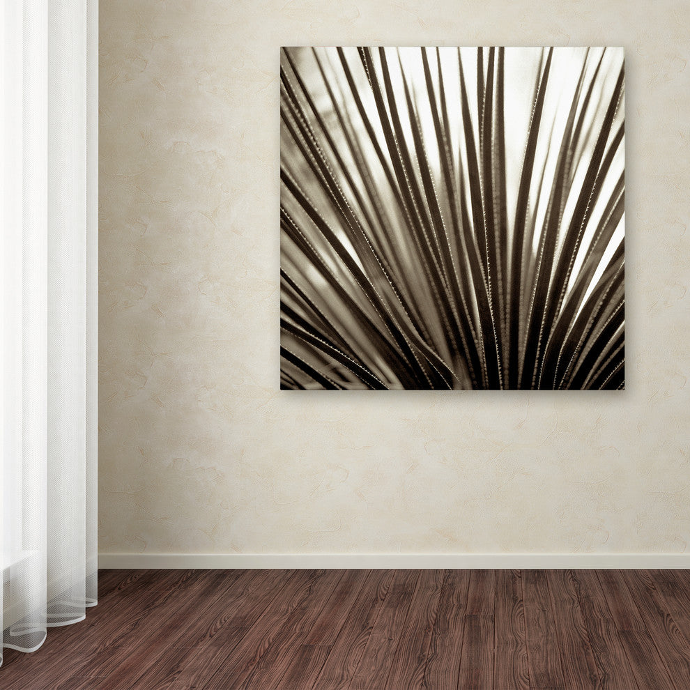 Alan Blaustein ''Florison 48'' Canvas Art, 14x14