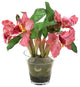 WaterlookÂ® Orchid Plant In Glass Pot