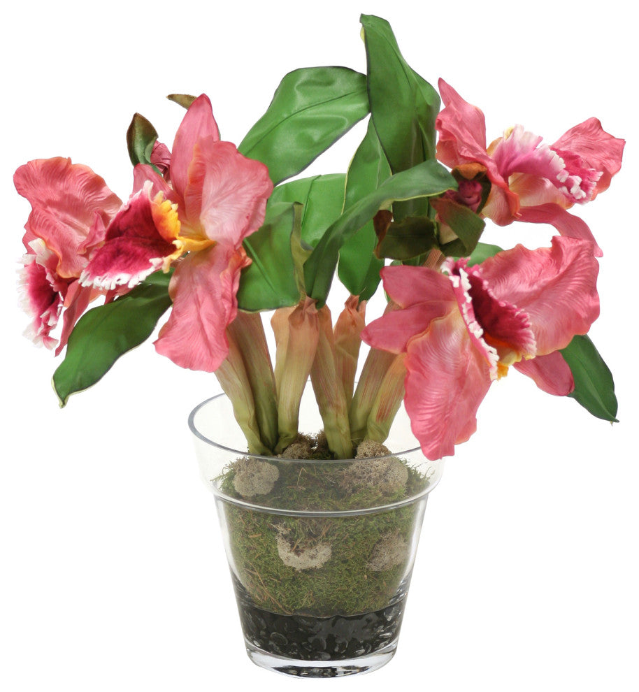 WaterlookÂ® Orchid Plant In Glass Pot
