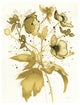 "Celebration d Or II" Digital Paper Print by Shirley Novak, 26"x34"