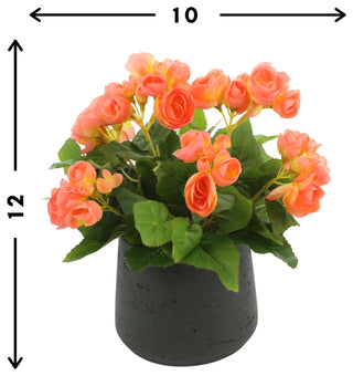 White background with scale arrows and measurements overlaying the product; infographic style.