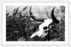 Marmont Hill, "Skull in the Grass" Framed Painting Print, 18x12