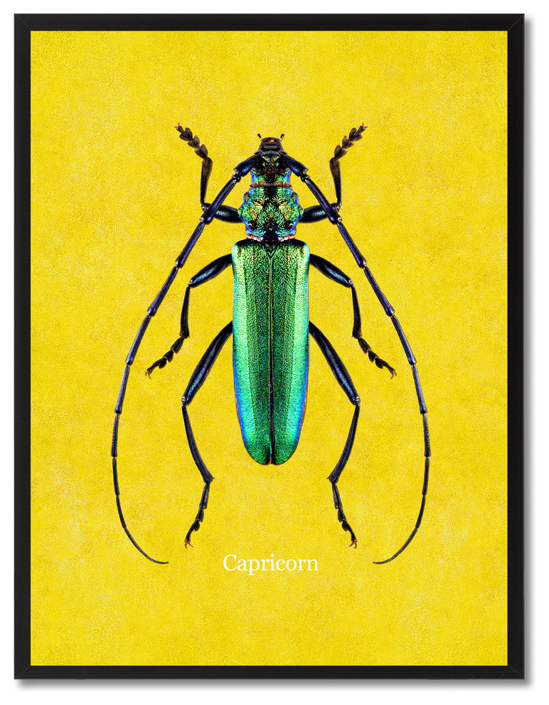 Capricorn Animal Yellow Canvas Print, Custom Picture Frame, 28"x37"