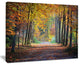"Wide Pathway in Yellow Fall Forest" Canvas Print, 40"x30"