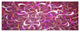 Pink Watercolor Fractal Pattern, Abstract Art on Canvas, 70"x28", 6 Panels