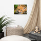 Young Red Fox Face Animal Wildlife Nature Photograph Canvas Wall Art Prints, 12" X 16"
