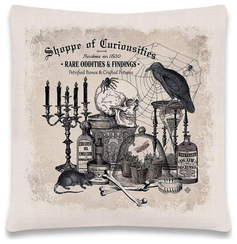 Heritage Lace Curiosities 18"x18" Shoppe Pillow in Natural