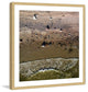 "The Tide" Framed Print by Karolis Janulis