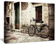 "Bicycle With Shopping Bag" Landscape Canvas Photo Print, 20"x12"