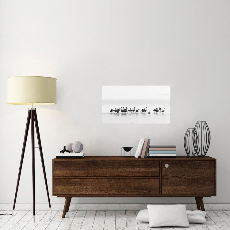 "Flamingos" Stretched Canvas Giclee by Joan Gil Raga, 36x20"
