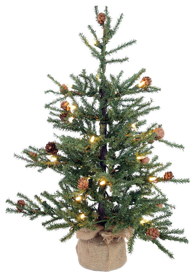 Vickerman 36" Carmel Pine 50LED WmWht Burlap Base