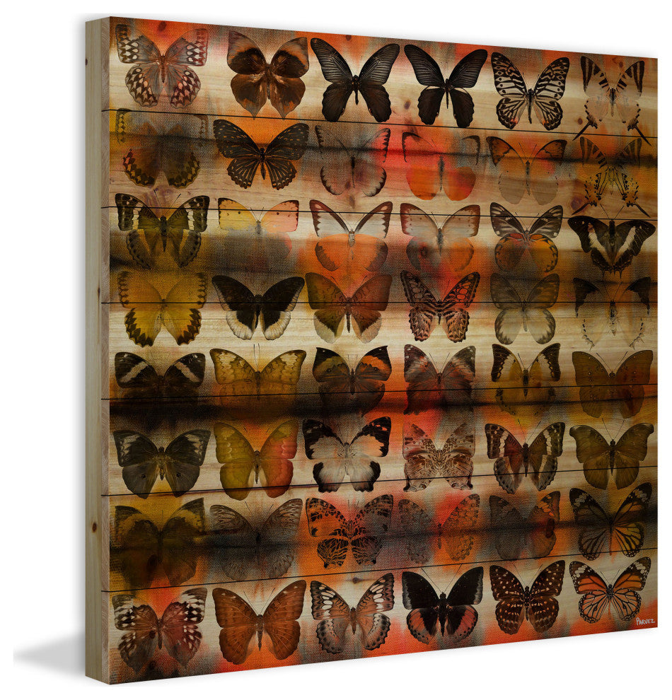 "Moths in Rows" UV Ink Print on Natural Pine Wood, 24"x24"