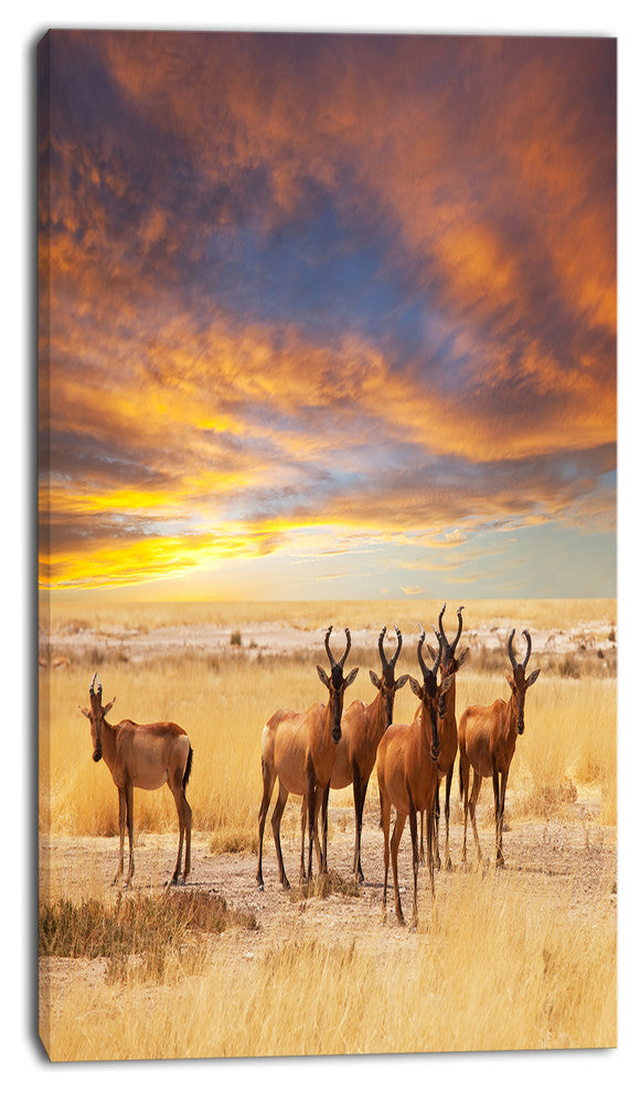 Herd of Antelope in Etosha Park, African Landscape Canvas Art Print, 16"x32"