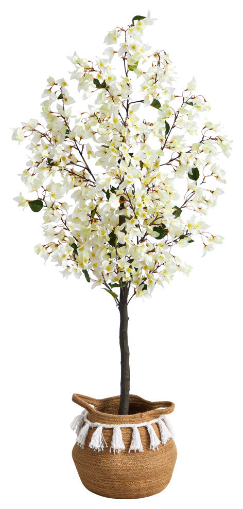 Full tree in a white background product shot; centered and unobstructed.